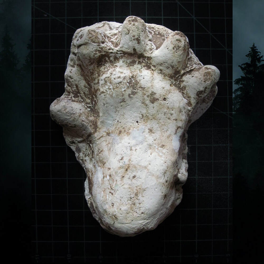 2013 Orang Pendek Footprint Cast | North American Bigfoot Center, image size:1000x1000